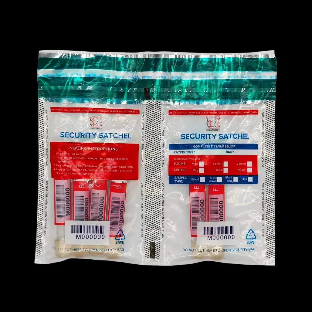 TRSTEB2 Double Tamper Evident Security Bag